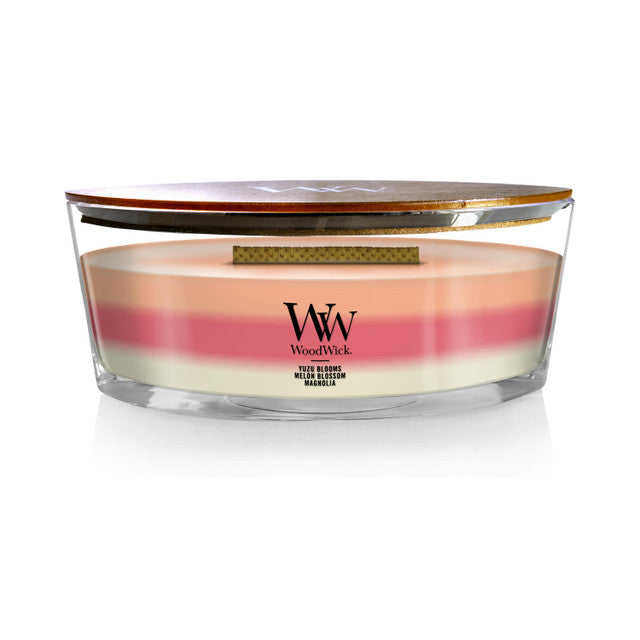 Woodwick Candle- Blooming Orchid